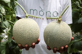 melones (REUTERS/Lim Huey Teng)