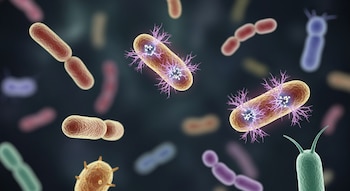 Ilustración microscópica de bacterias y arqueas de diversas formas y colores flotando sobre un fondo oscuro. Algunas presentan estructuras brillantes y ramificadas en su superficie.
