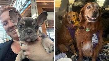 Amanda McGee encontró en el