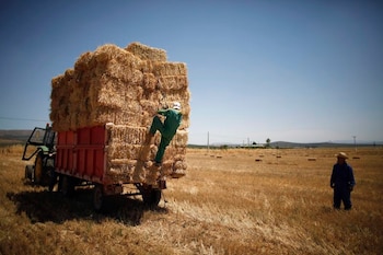 FOTO DE ARCHIVO: Los agricultores cargan pacas de heno en un campo durante la temporada de cosecha en Antequera, cerca de la ciudad meridional española de Málaga, España. 23 de julio de 2010. REUTERS/Jon Nazca