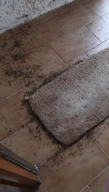 "Imposible moverse", comentó hace dos