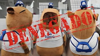 Intentan registrar disfraz de capibara