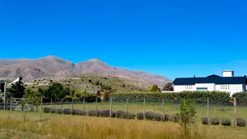 Los valores de respeto ambiental