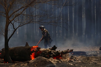 Un brigadista combate el fuego en los pastizales en Ituzaingó, Corrientes. REUTERS