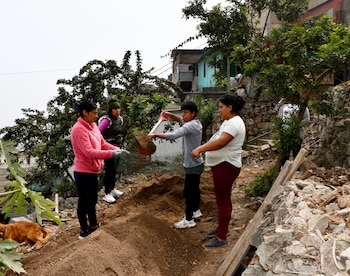 Vista general de un biohuerto