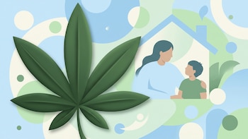 El consumo diario de marihuana se cuadruplicó en 12 años entre este grupo de estadounidenses, según un estudio