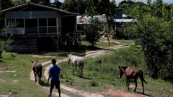 Mango Landing, el pueblo del