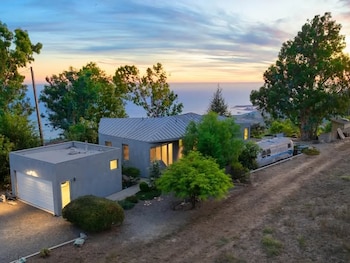 La mujer acababa de adquirir