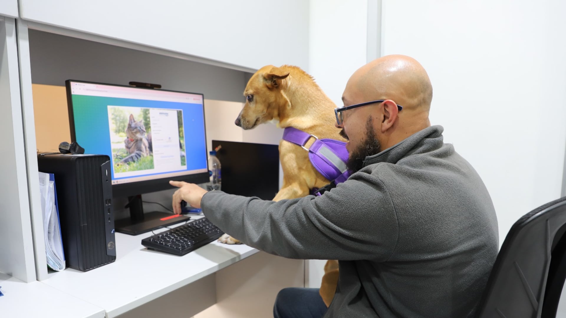 Una encuesta de Voices indicó que el 97% de las personas con perro o gato considera a su mascota parte de la familia