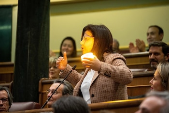 La diputada del PP Ana