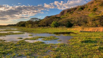 S&P afirma la calificación de