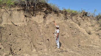 Excavaciones ilegales con maquinaria pesada dañan Huaca La Alameda en Chiclayo: conductor huyó antes del operativo