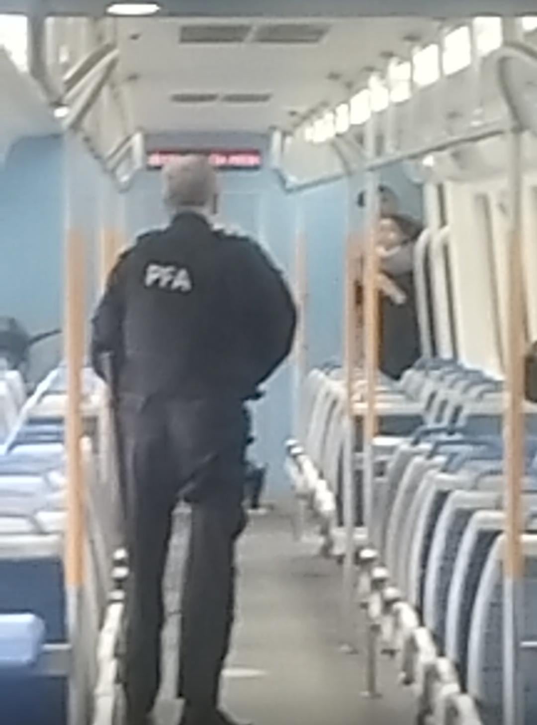 El hombre violentó a la mujer y se atrincheró en el fondo de una formación (Foto: PFA)