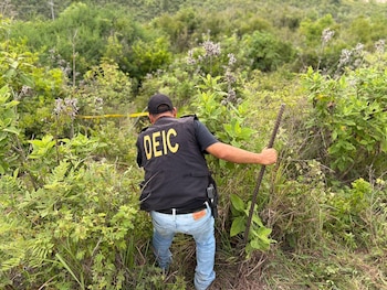 Hombre de espaldas con chaleco negro DEIC, gorra negra y jeans. Sujeta barra de metal. Pistola en la cintura. Cinta amarilla y vegetación densa