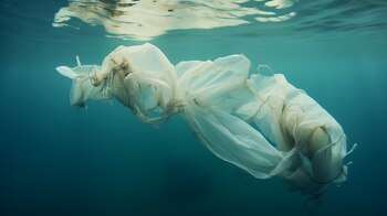 La simultaneidad de imágenes de