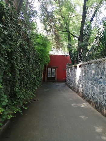 El callejón se ha convertido