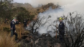 Destrucción de recursos naturales lidera el aumento de los delitos ambientales en Panamá