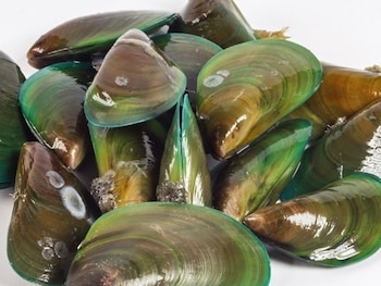 Mejillones, surubíes, dorados, bogas, pejerreyes, erizos de mar, algas y centollas también están comenzando a encontrar su lugar en los sistemas productivos.