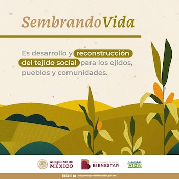 El apoyo consta de 6