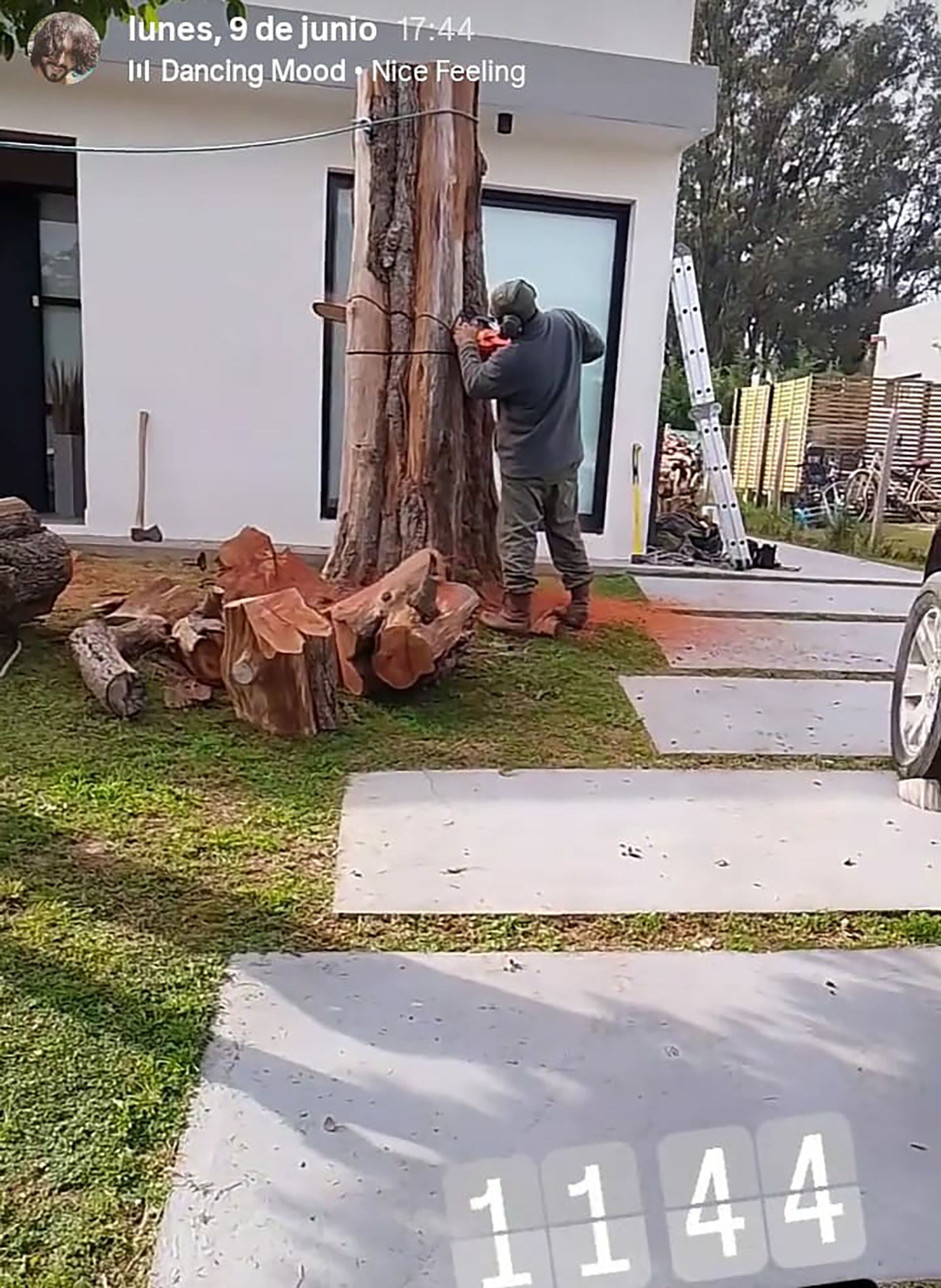 El episodio de la poda del árbol terminó por quebrar la relación entre el propietario y el inquilino: después de ese día, comenzaron las denuncias cruzadas