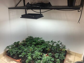 Otra de las salas con