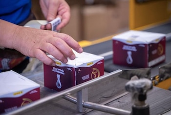 Diseño, fabricación y dustribución del álmbum Panini para el Mundial de Qatar 2022 (Foto: Panini México)