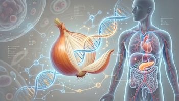 Por qué la preferencia por la cebolla podría estar relacionada con un menor riesgo de diabetes tipo 2, según un estudio
