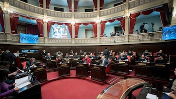 La Libertad Avanza quiere cerrar el Senado provincial si gana las elecciones en Buenos Aires