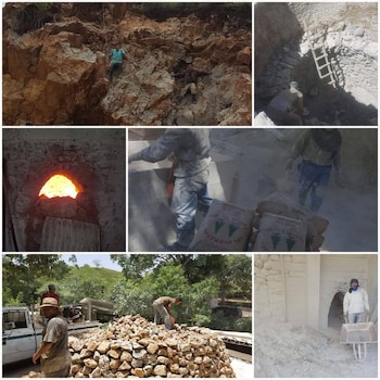 Los “patas blancas” extraen y