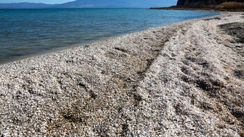 El cambio climático seca los