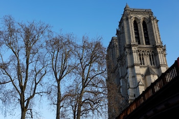 Tras su restauración, el órgano