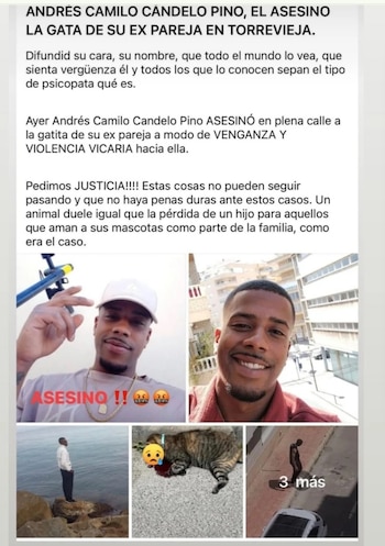 En varias redes sociales y plataformas se difundió la publicación en la que se identificó al ciudadano colombiano que mató a golpes a Nala, la gata de su expareja - crédito red social Facebook