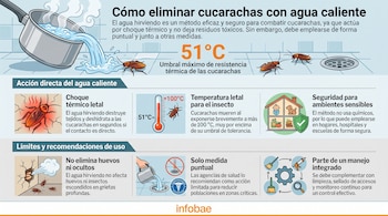 Infografía con olla virtiendo agua en desagüe, cucarachas, termómetro indicando 51 y 100 grados Celsius, casa con escudo y dibujos de limpieza.