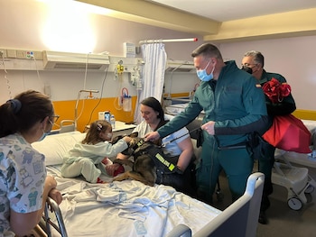 Un perro del Servicio Cinológico