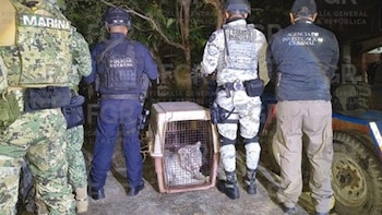 La Fiscalía General de la