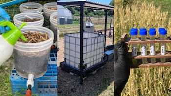 El prototipo desarrollado puede tratar