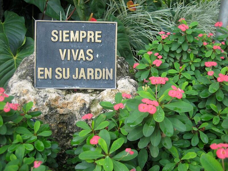 Las hermanas Mirabal están enterradas en el jardín de su casa convertida en un museo en República Dominicana