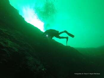 El Taam ja' fue explorado