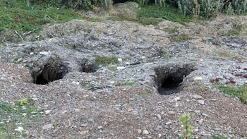 La Fundación vertió toneladas de