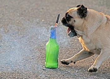 Expertos recomiendan crear refugios seguros