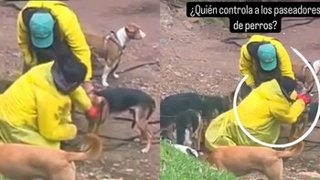 Paseadores que obligaron a un