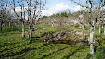 La dehesa de los Arroyuelos, donde se pretende construir