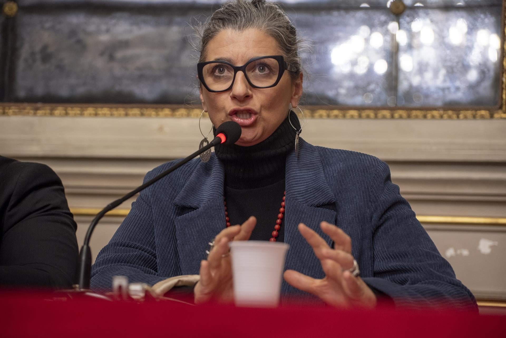 Alemania exige la dimisión de la relatora de la ONU para Palestina por sus comentarios «inapropiados»