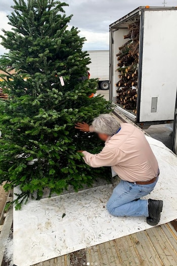 Se intensificaron las revisiones durante