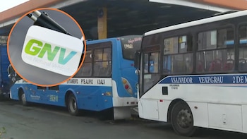 Fila de buses colapsa grifo