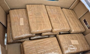 Los hechos se registraron a