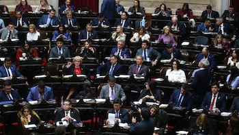 Presentaron un proyecto para suspender la dieta a los diputados que insulten en el Congreso