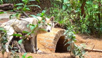 La madre junto a sus