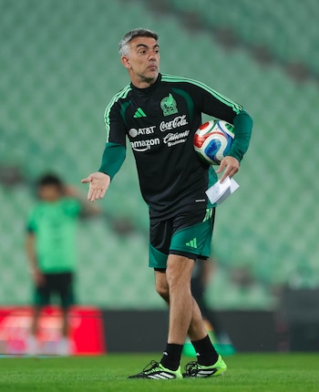 El auxiliar español puede dejar