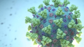 Cuáles son los síntomas de la variante Cicada de COVID-19 que se expande en Estados Unidos